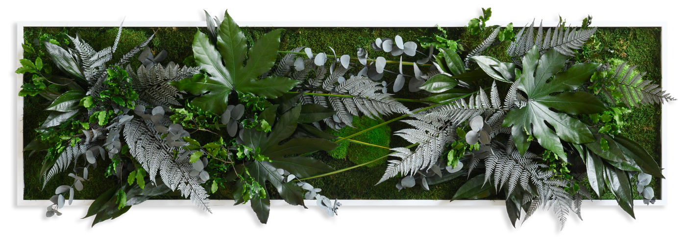 Jungle Rectangular Plant and Moss Wall Art (140x40cm)-Wall Decor-LIVING MOSS WALL, MOSS PICTURES, MOSS WALL ART, PLANT WALL ART, PLANTS-Forest Homes-Nature inspired decor-Nature decor