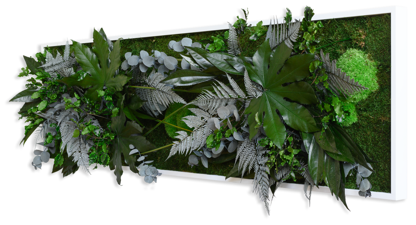 Jungle Rectangular Plant and Moss Wall Art (140x40cm)-Wall Decor-LIVING MOSS WALL, MOSS PICTURES, MOSS WALL ART, PLANT WALL ART, PLANTS-Forest Homes-Nature inspired decor-Nature decor