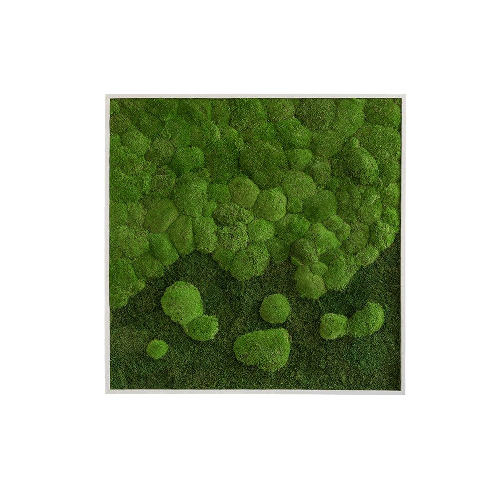 Merging Square Moss Wall Art (80cm)-Wall Decor-MOSS FRAMES, MOSS PICTURES, MOSS WALL ART, PLANTS-Forest Homes-Nature inspired decor-Nature decor